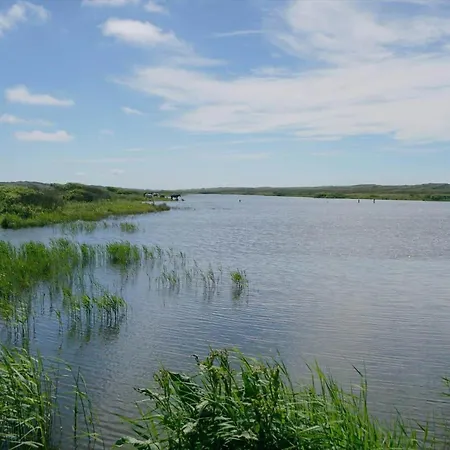 Σπίτι διακοπών C11603-norre-nebel-marskvej-24 *