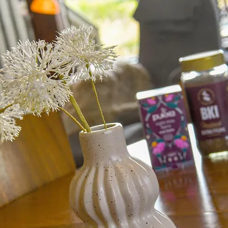 C11603-norre-nebel-marskvej-24 *